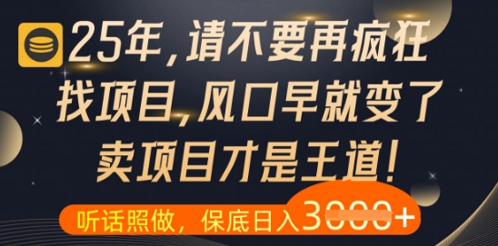 什么？25年你还在疯狂找项目做，醒醒吧，看完这些你全都懂了【揭秘】 - 副业联盟-副业联盟