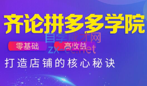 齐论拼多多vip课程 - 副业联盟-副业联盟
