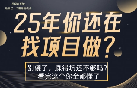 25年，你还在疯狂的找项目吗？别傻了，看完这个你都懂了【揭秘】 - 副业联盟-副业联盟