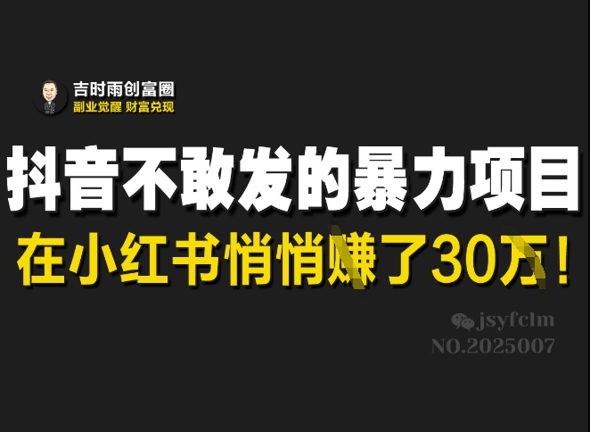 抖音不敢发的暴利项目，在小红书悄悄挣了30W - 副业联盟-副业联盟