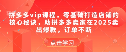 拼多多vip课程，零基础打造店铺的核心秘诀，助拼多多卖家在2025卖出爆款，订单不断 - 副业联盟-副业联盟