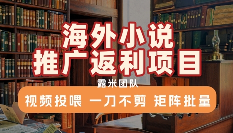 海外小说推广返利项目，视频投喂， 一刀不剪，矩阵批量 - 副业联盟-副业联盟