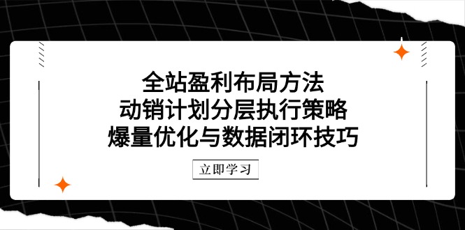 全站盈利布局方法：动销计划分层执行策略，爆量优化与数据闭环技巧 - 副业联盟-副业联盟