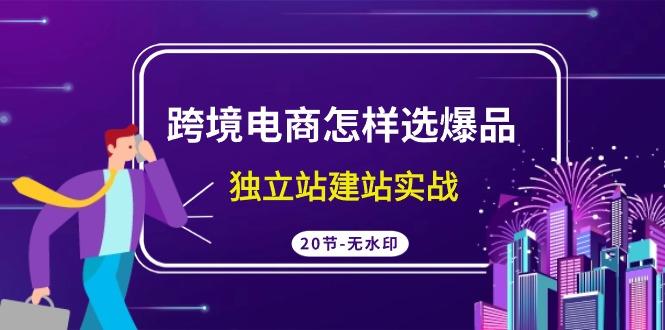 (9369期)跨境电商怎样选爆品，独立站建站实战(20节高清无水印课) - 副业联盟-副业联盟