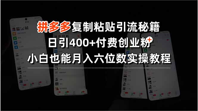 拼多多复制粘贴引流秘籍，日引400+付费创业粉，小白也能月入六位数实操... - 副业联盟-副业联盟