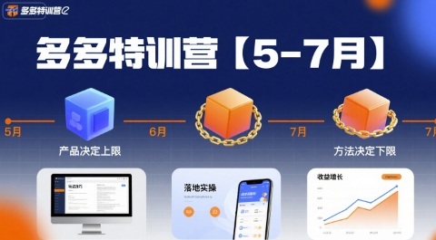多多特训营【5-7月】产品决定上限，方法决定下限，各种玩法技巧落地实操 - 副业联盟-副业联盟