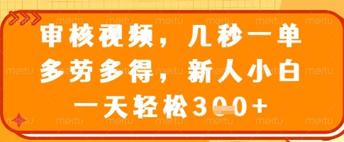 审核视频，几秒一单，多劳多得，新人小白一天轻松3张【揭秘】 - 副业联盟-副业联盟