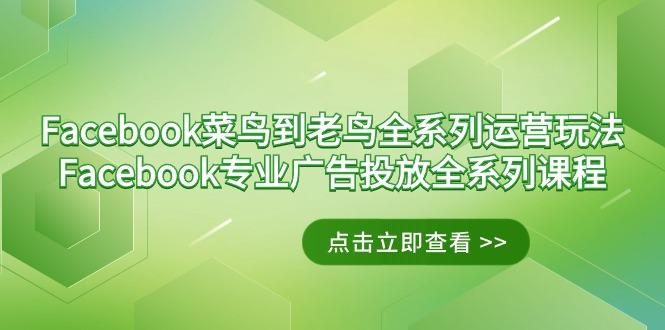 Facebook-菜鸟到老鸟全系列运营玩法+Facebook-专业广告投放全系列课程 - 副业联盟-副业联盟