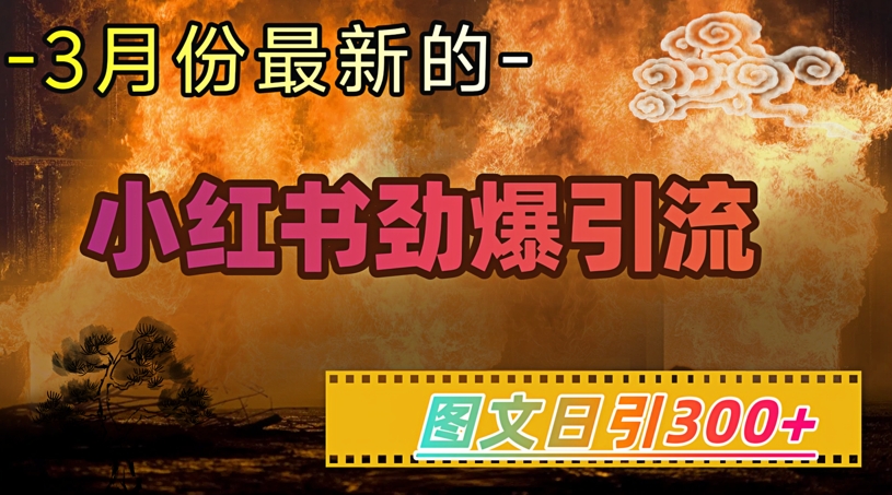 小红书超劲爆引流手段，图文日引300+轻松变现1W - 副业联盟-副业联盟