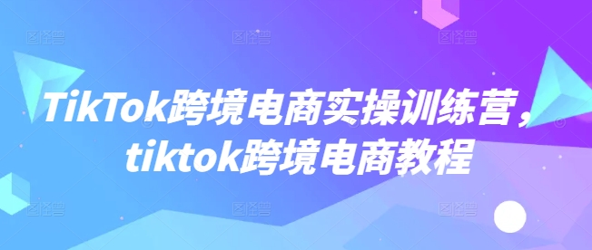 TikTok跨境电商实操训练营，tiktok跨境电商教程 - 副业联盟-副业联盟