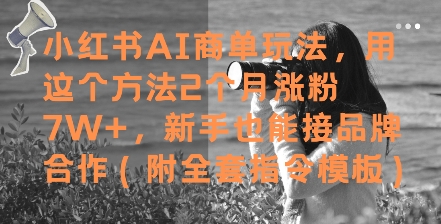 小红书AI商单玩法，用这个方法2个月涨粉7W+，新手也能接品牌合作(附全套指令模板) - 副业联盟-副业联盟