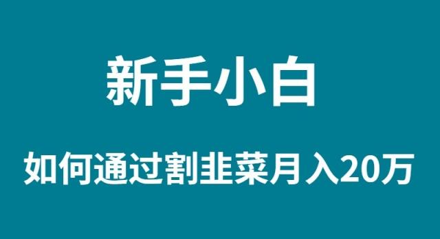 (9308期)新手小白如何通过割韭菜月入 20W - 副业联盟-副业联盟