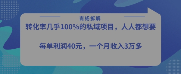 转化率最高的私域项目，每单利润40-50米，月入过1w - 副业联盟-副业联盟