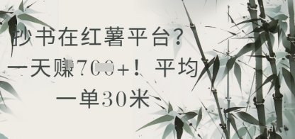 抄书在小红薯平台？平均一单30米，一天收益几张！ - 副业联盟-副业联盟