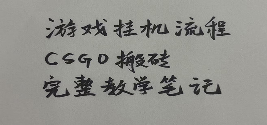 游戏挂机全流程笔记分享,CSGO游戏搬砖,小白看了当天学会见收益|副业联盟