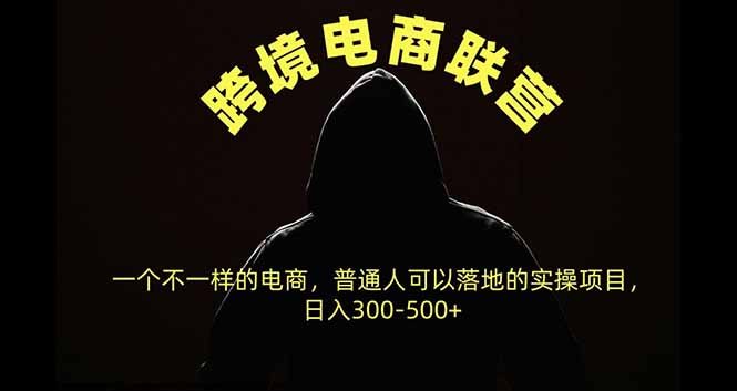 跨境电商联营,一个不一样的电商,普通人可操作日入300-500+|副业联盟