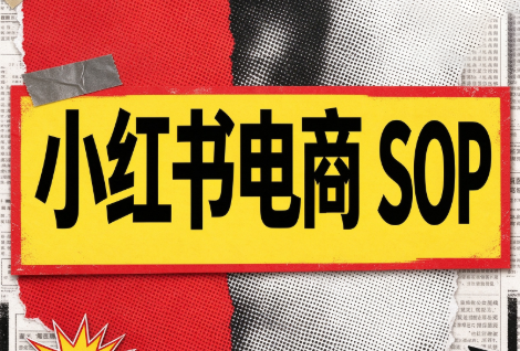 书豪必胜小红书电商sop(更新9月)|副业联盟