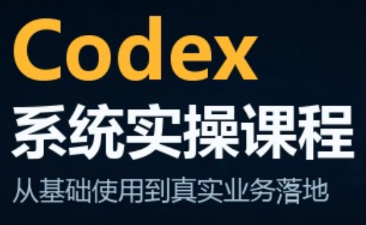 codex系统实操课程(更新10月)|副业联盟