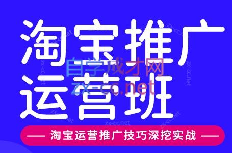 美迪电商·淘宝高级运营班+推广运营班(更新10月)|副业联盟