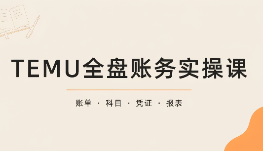 TEMU全盘账务实操课：账单导出、科目设置、利润核算|副业联盟