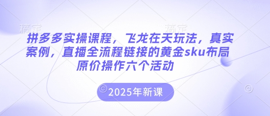 拼多多实操课程，飞龙在天玩法，真实案例，直播全流程链接的黄金sku布局原价操作六个活动 - 副业联盟-副业联盟