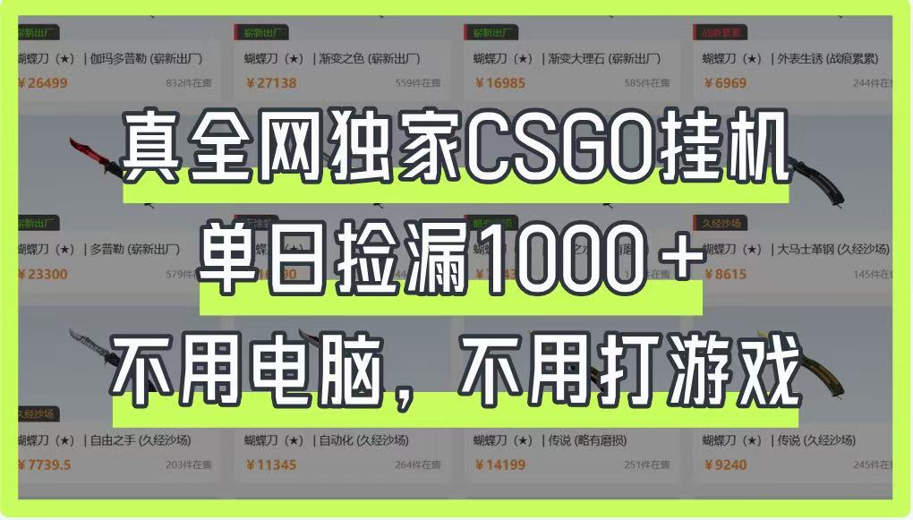 真全网独家CSGO挂机，单日捡漏1000+，不用电脑，不用养号 - 副业联盟-副业联盟