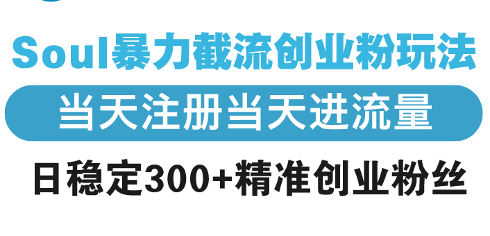 Soul暴力截流创业粉玩法，当天注册当天进流量，日稳定300+精准创业粉丝 - 副业联盟-副业联盟