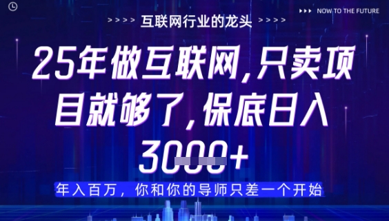 什么！25年你还在找项目做？风口早就变了，卖项目才是稳挣不赔【揭秘】 - 副业联盟-副业联盟