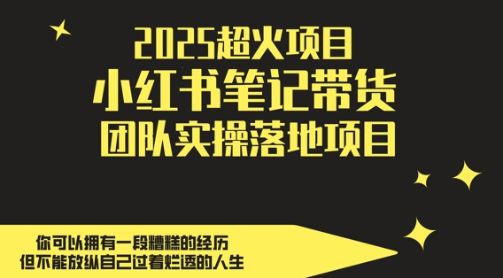2025超火项目，副业最佳选择，小红书笔记带货团队实操落地项目，，轻松日入5张 - 副业联盟-副业联盟