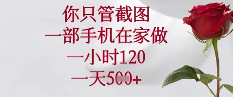 你只管截图，一部手机在家做，苹果安卓都可以，一小时120，一天5张+【揭秘】 - 副业联盟-副业联盟