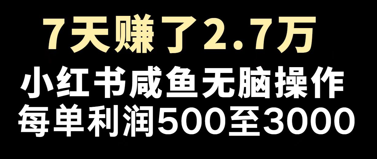 最赚钱项目之一，2025爆火，逆风翻盘！ - 副业联盟-副业联盟