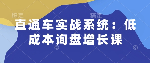 直通车实战系统：低成本询盘增长课，让个人通过技能实现升职加薪，让企业低成本获客，订单源源不断 - 副业联盟-副业联盟