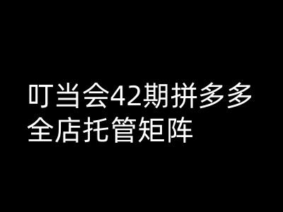 叮当会拼多多打爆班原创高阶技术第42期，拼多多全店托管矩阵 - 副业联盟-副业联盟