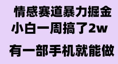 情感暴力掘金项目，新人操作一周挣了2W，长期稳定小白可做【揭秘】 - 副业联盟-副业联盟