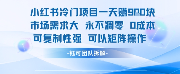 小红书冷门项目一天收益9张，市场需求大，0成本，可复制性强可以矩阵操作 - 副业联盟-副业联盟