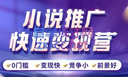 洲洲老师·小说推广快速变现营 - 副业联盟-副业联盟