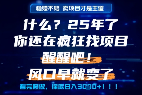 什么？25年你还在疯狂找项目做，醒醒吧，看完这些你全都懂了！【揭秘】 - 副业联盟-副业联盟