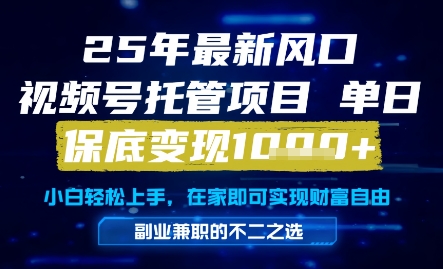25年最新风口，视频号托管项目，单日保底变现1k+，手把手教学【揭秘】 - 副业联盟-副业联盟