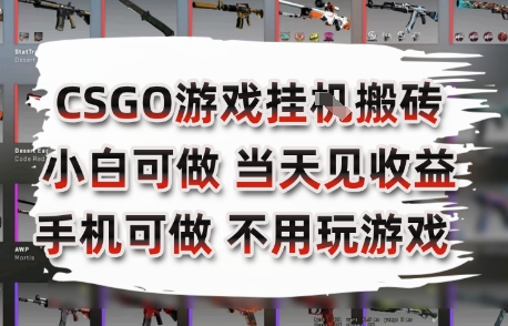 CSGO游戏挂G搬砖，小白纯手机即可操作，不用电脑打游戏，日入3张+，副业网创项目【揭秘】 - 副业联盟-副业联盟