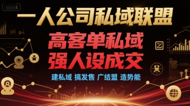 一人公司私域联盟，高客单私域，强人设成交，建私域 搞发售 广结盟 造势能 - 副业联盟-副业联盟