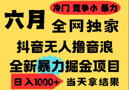 25年6月高爆抖音无人直播最新撸音浪掘金项目，小白可做，无脑日入1k+，门槛低可批量矩阵【揭秘】 - 副业联盟-副业联盟