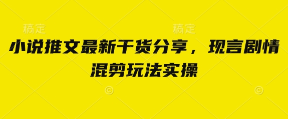 小说推文最新干货分享，现言剧情混剪玩法实操 - 副业联盟-副业联盟
