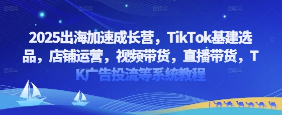 2025出海加速成长营，TikTok基建选品，店铺运营，视频带货，直播带货，TK广告投流等系统教程 - 副业联盟-副业联盟