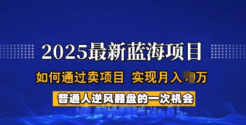 2025蓝海项目，普通人如何通过卖项目，实现月入过W，全过程【揭秘】 - 副业联盟-副业联盟