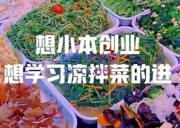 李记·精品凉拌菜系列热卤系列教程 - 副业联盟-副业联盟