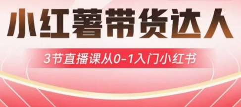 小红薯达人带货启航计划，3节直播课从0-1入门小红书 - 副业联盟-副业联盟