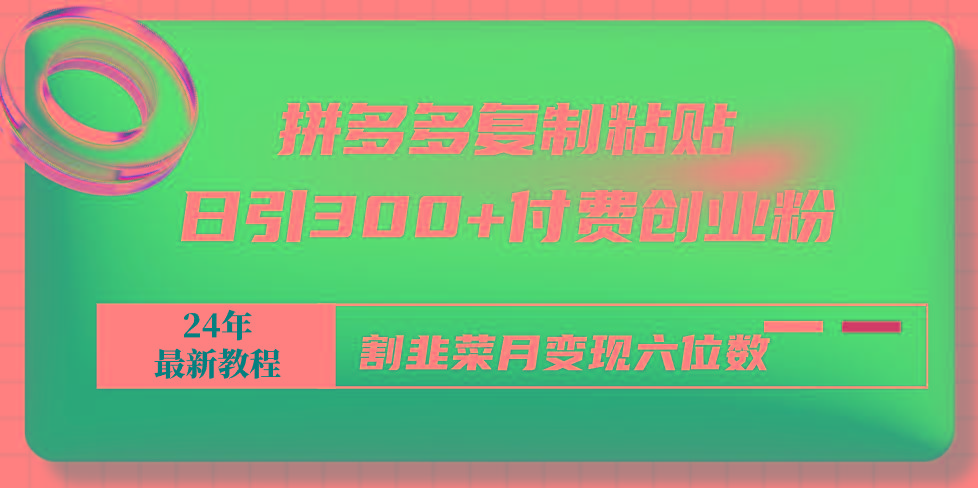 拼多多复制粘贴日引300+付费创业粉，割韭菜月变现六位数最新教程！ - 副业联盟-副业联盟