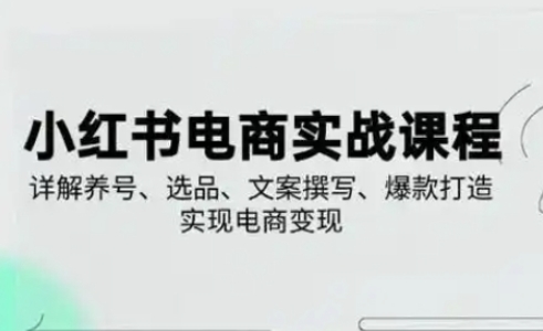 小红书从0-1实操课(2023-2025)，详解养号、选品、文案撰写、爆款打造实现电商变现 - 副业联盟-副业联盟