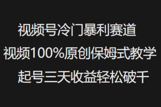 视频号冷门暴利赛道视频100%原创保姆式教学起号三天收益轻松破千 - 副业联盟-副业联盟