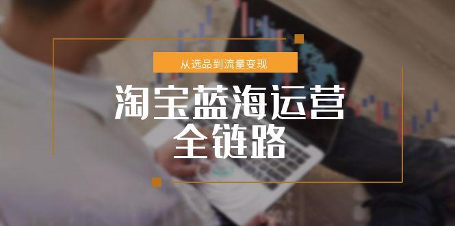 淘宝蓝海运营全链路，从选品到流量变现，小类目突围完整方案 - 副业联盟-副业联盟